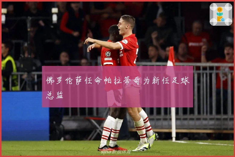 佛罗伦萨任命帕拉蒂奇为新任足球总监